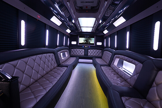 Luxurious limousine